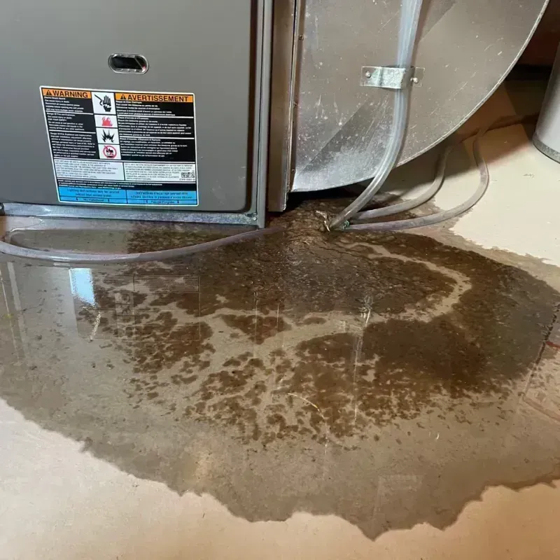 Appliance Leak Cleanup in Lincoln County, CO